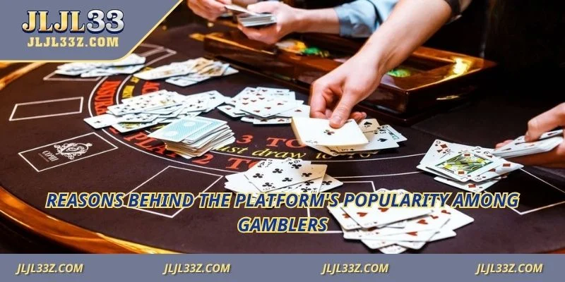 Reasons behind the platform's popularity among gamblers