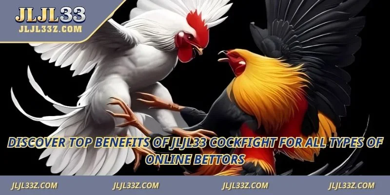 Discover top benefits of Jljl33 Cockfight for all types of online bettors.