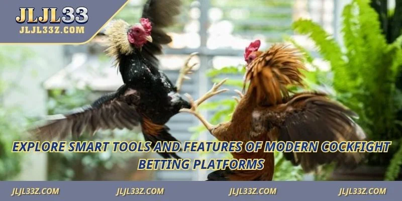 Explore smart tools and features of modern cockfight betting platforms.
