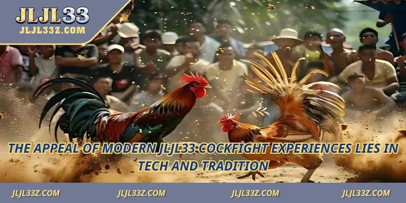 The appeal of modern Jljl33 Cockfight experiences lies in tech and tradition.